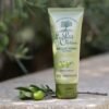 Masque Visage Hydratant Huile d'Olive - Le Petit Olivier
