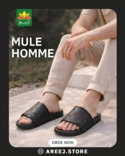 MULE HOMME